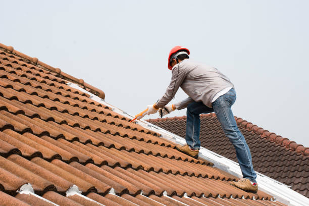 Best Asphalt Shingle Roofing  in Washoe Valley, NV